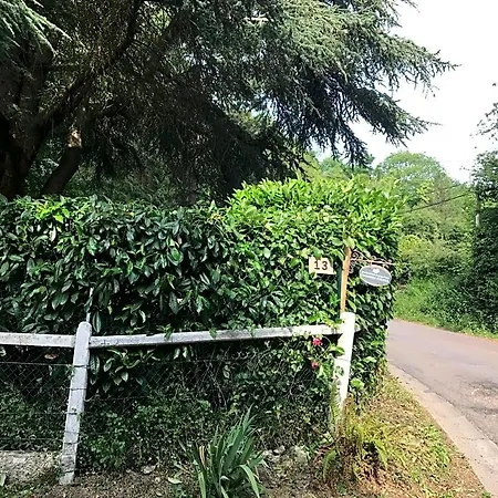 Les Chaumieres Du Pays D'auge Oda ve Kahvaltı