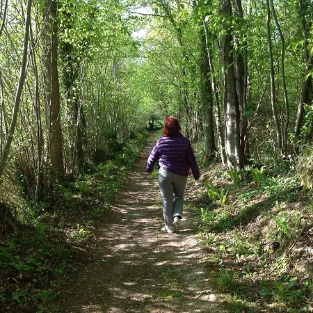 Les Chaumieres Du Pays D'auge Bed and Breakfast Le Breuil-en-Auge