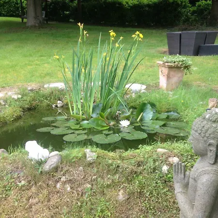 Bed and Breakfast Les Chaumieres Du Pays D'auge Le Breuil-en-Auge