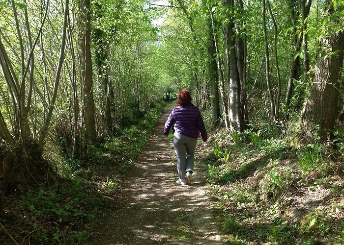 Les Chaumieres Du Pays D'auge Bed and Breakfast Le Breuil-en-Auge